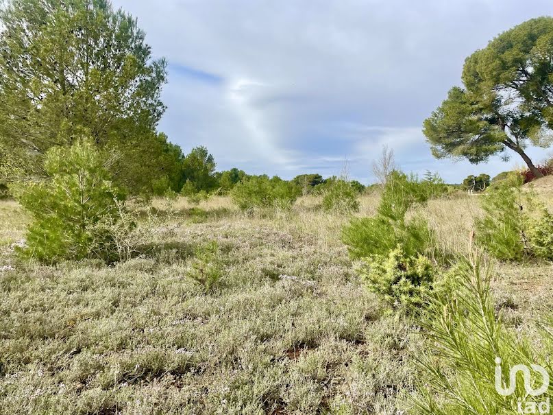 Vente terrain  399 m² à Lézignan-Corbières (11200), 71 000 €