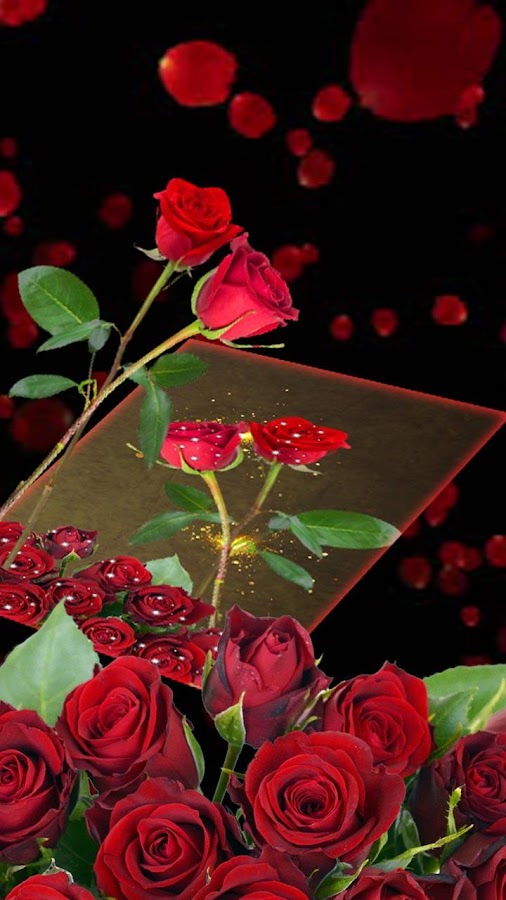 BiDzjJ9snNM6PCzbAawx9TCtDcsbYMXy9kI4njYKBs2M1wQknAkj8Dbp05RgJCWl9g=h900