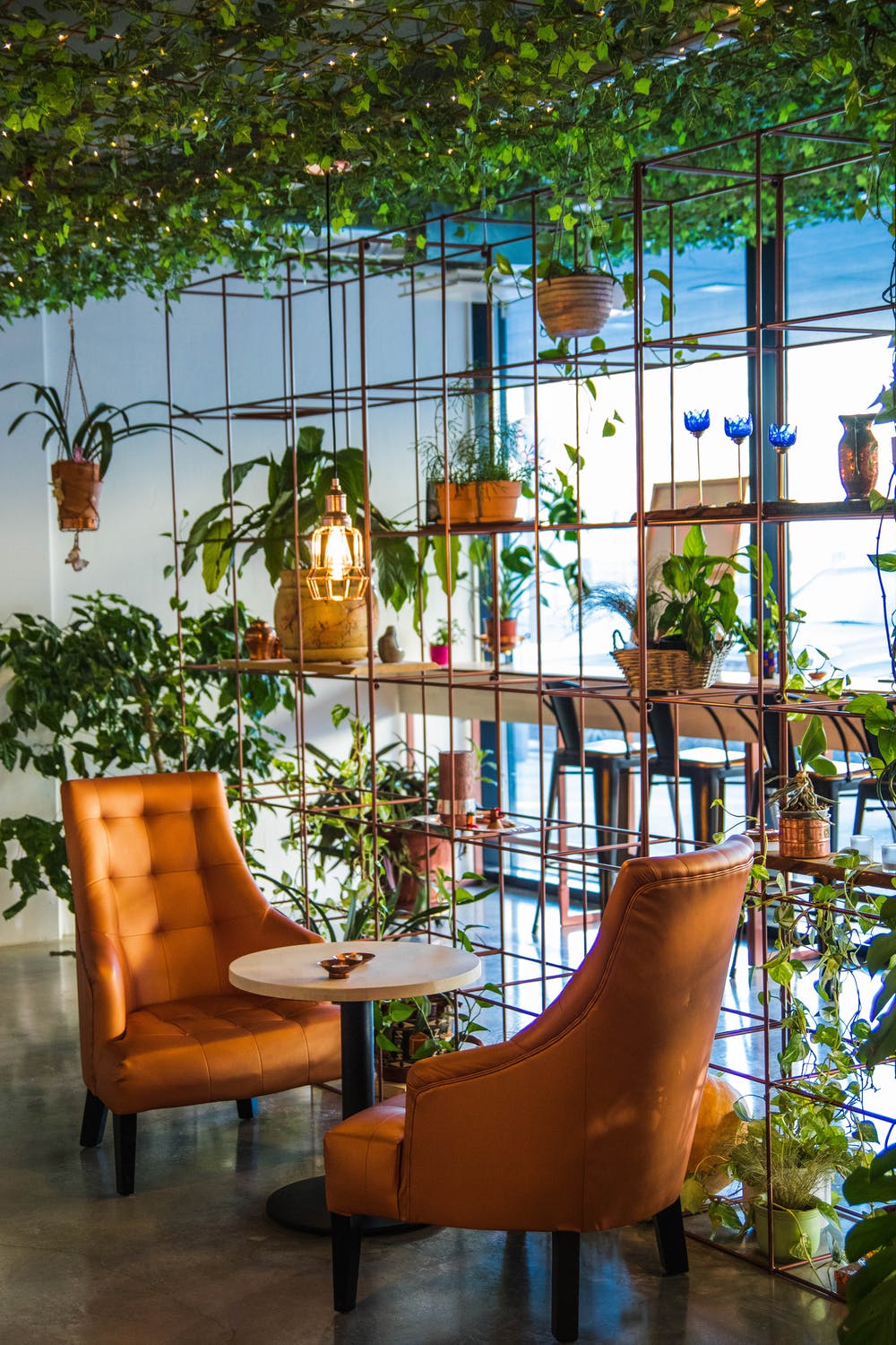 seating area with lots of plants