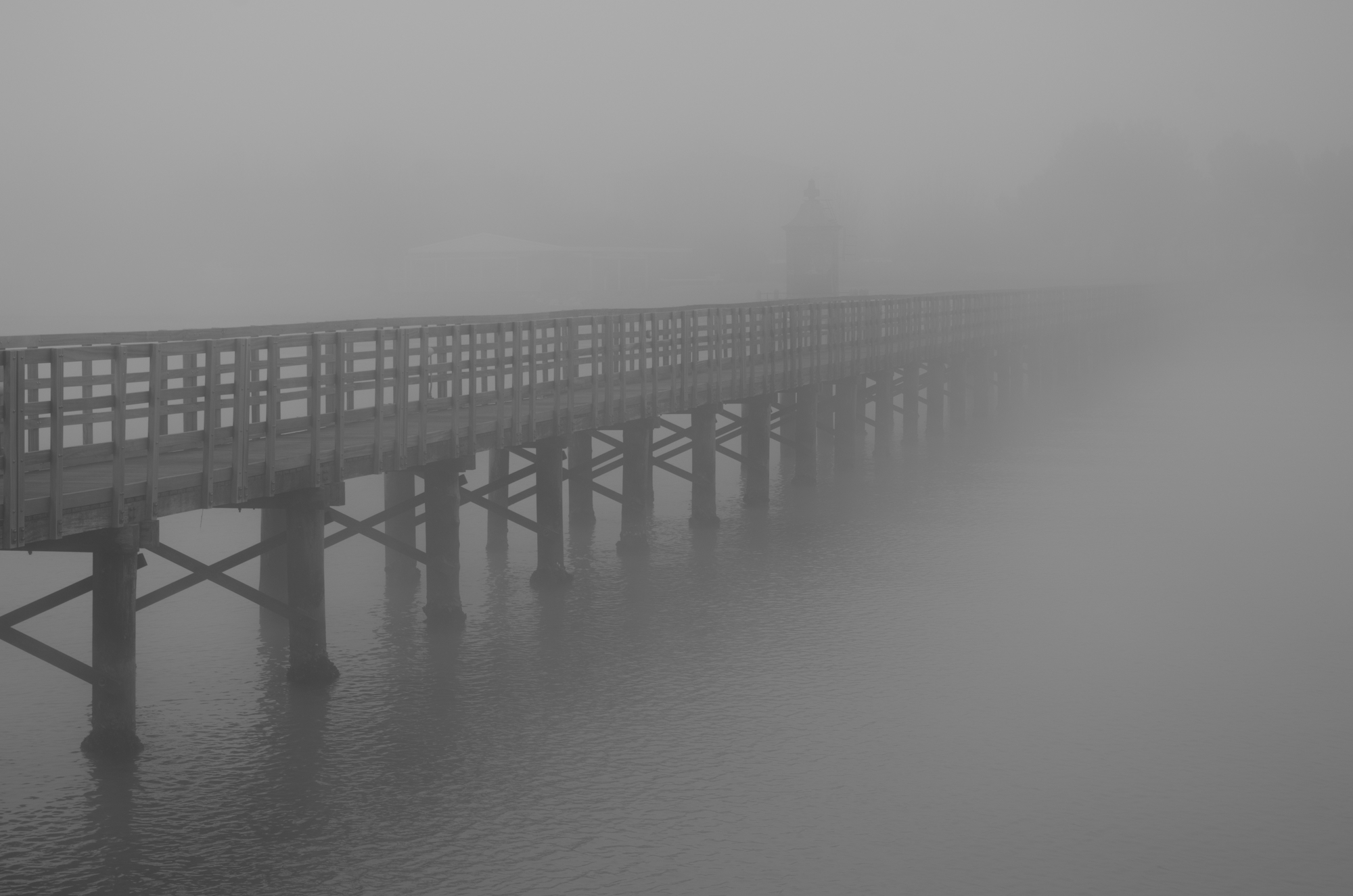 Là dove sorge la nebbia di Alessandro Marani