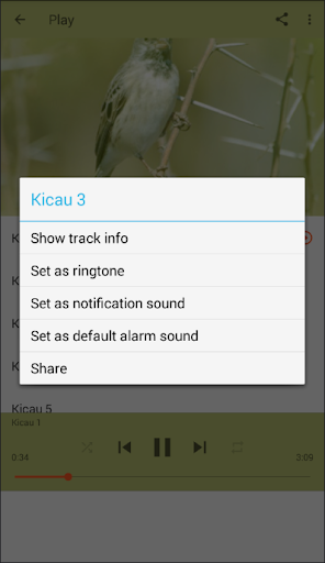 Suara Burung Blackthroat