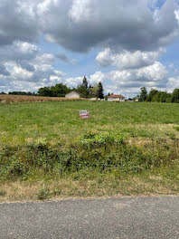 terrain à Beaulieu-sur-Loire (45)