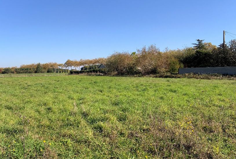  Vente Terrain à bâtir - 503m² à Saint-Lys (31470) 