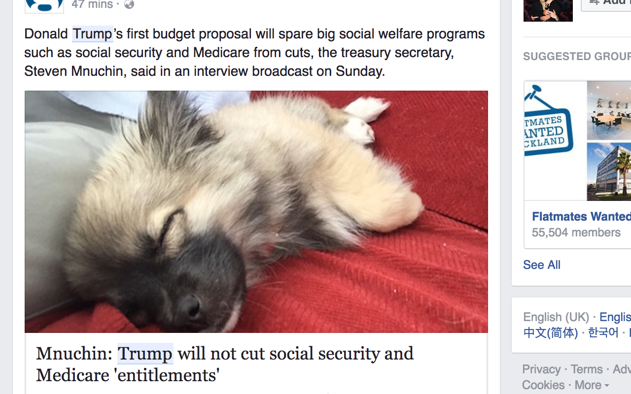 Trump Dog Preview image 1