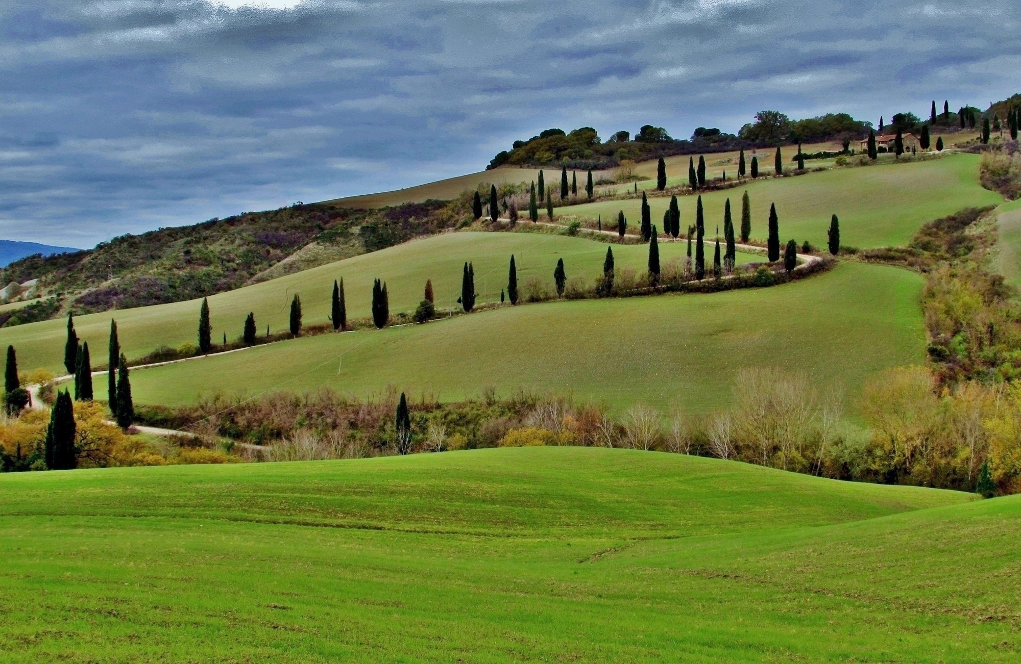 Colline di Giorgio Lucca