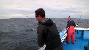 PEI Tuna thumbnail
