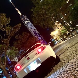 RX-8 SE3P