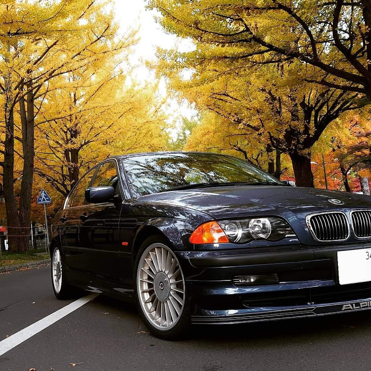 B3セダンのアルピナ フォトコンテスト・E21・E46・北海道大学 銀杏並木に関するカスタム事例の投稿画像1枚目