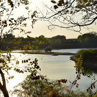 Autunno sul laghetto di 