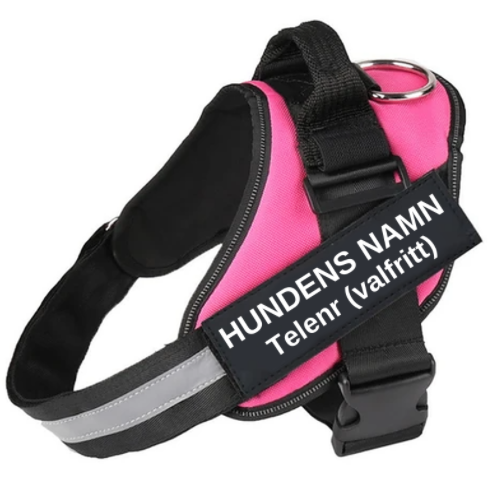 Title 4, Dog chest strap with leash for comfort and cont...