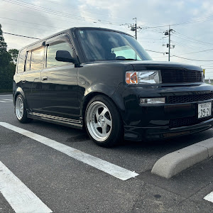 bB NCP30