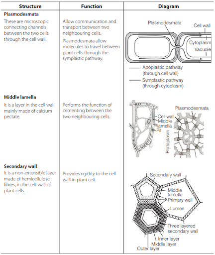 Solution Image