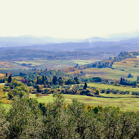 riportami, o sole, al mio destino agreste di 