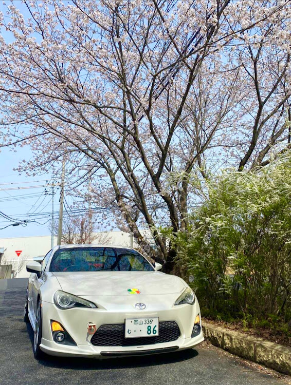 86の86BRZ・桜と愛車に関するカスタム事例の投稿画像4枚目