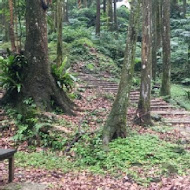 台灣農林熊空茶園