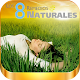 Download Remedios Naturales de Dios For PC Windows and Mac 1.0