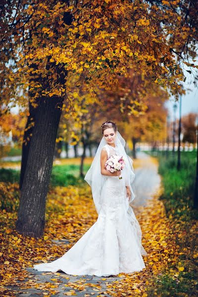 Wedding photographer Elena Tolubeeva (itzy). Photo of 21 December 2016