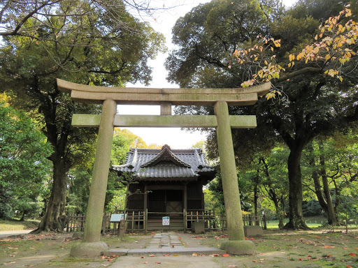 Wandering Tokyo by Land & Sea Japan 2017