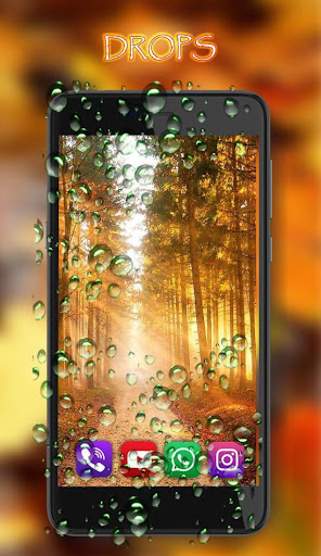 Autumn Falling Leaves