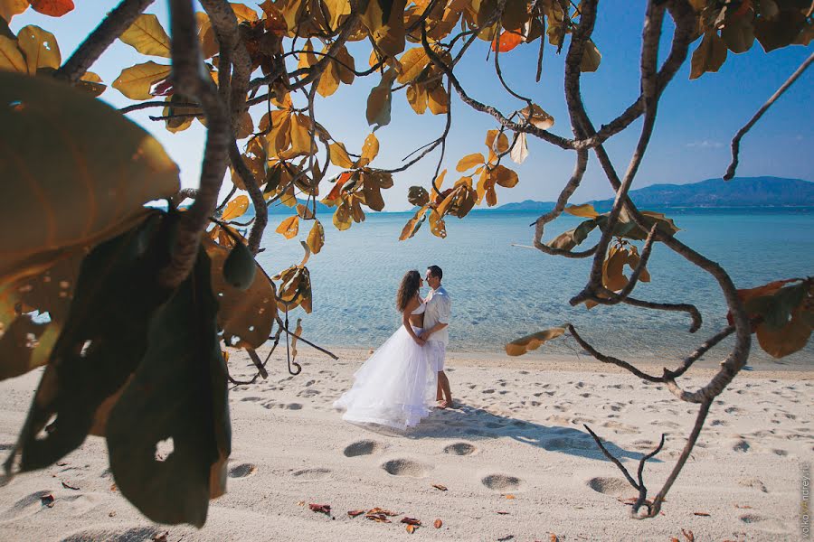 Photographe de mariage Andrey Volkov (volkoff). Photo du 1 mai 2014