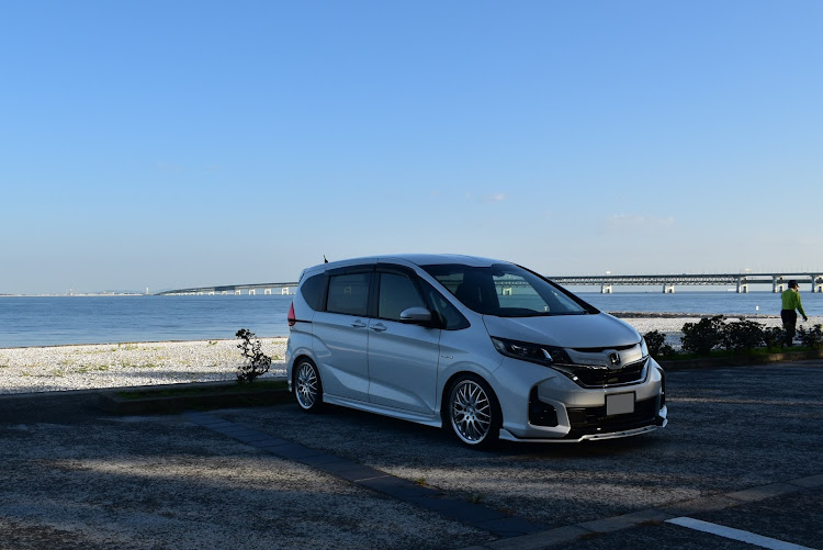 フリードのりんくう公園第1駐車場・一眼練習中・NikonD5600・無加工でアップ・標準レンズと望遠レンズに関するカスタム事例の投稿画像5枚目