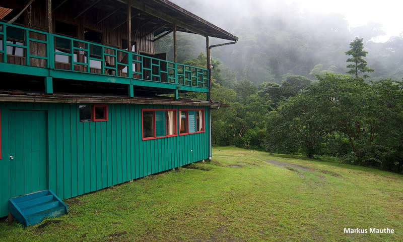 Children’s Eternal Rainforest Reserve