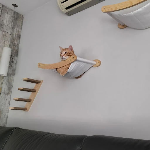 Cat Wall Mounted Wooden Shelves Platform and Hammock for Cats Sleeping and Scratching Post for Cats Grinding Claws Pet F