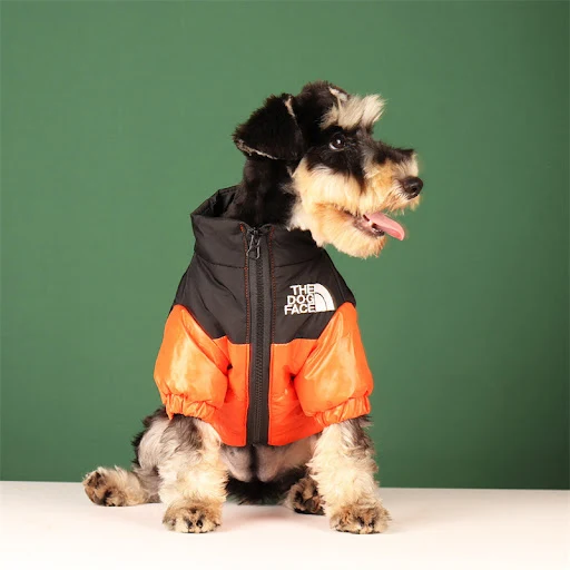 Warm Windproof French Small Medium Dog Reflective Coat Chihuahua Pet Outfits Jacket Large Winter Pet Dog Clothes Bulldog