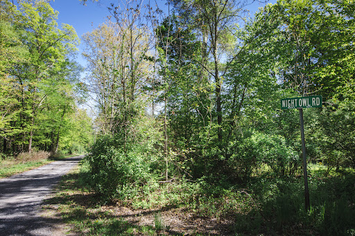 Land 2