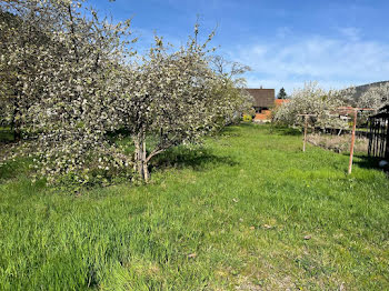 maison à Willer-sur-Thur (68)