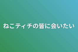 ねこティチの皆に会いたい