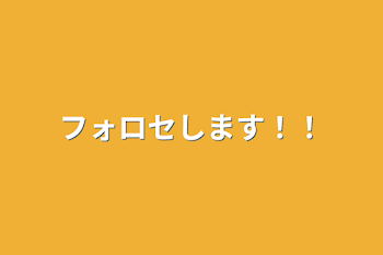 フォロセします！！