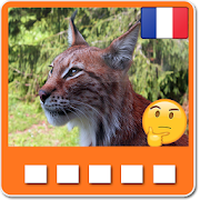 Animaux: Quiz d'animaux en francais  Icon