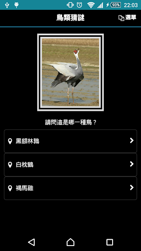 鳥類猜謎