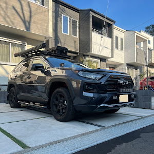 RAV4 MXAA54