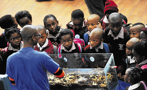 The annual Yebo Gogga amaBlomo, at Witwatersrand University in Johannesburg. The theme this year was 'Exploring the underworld'