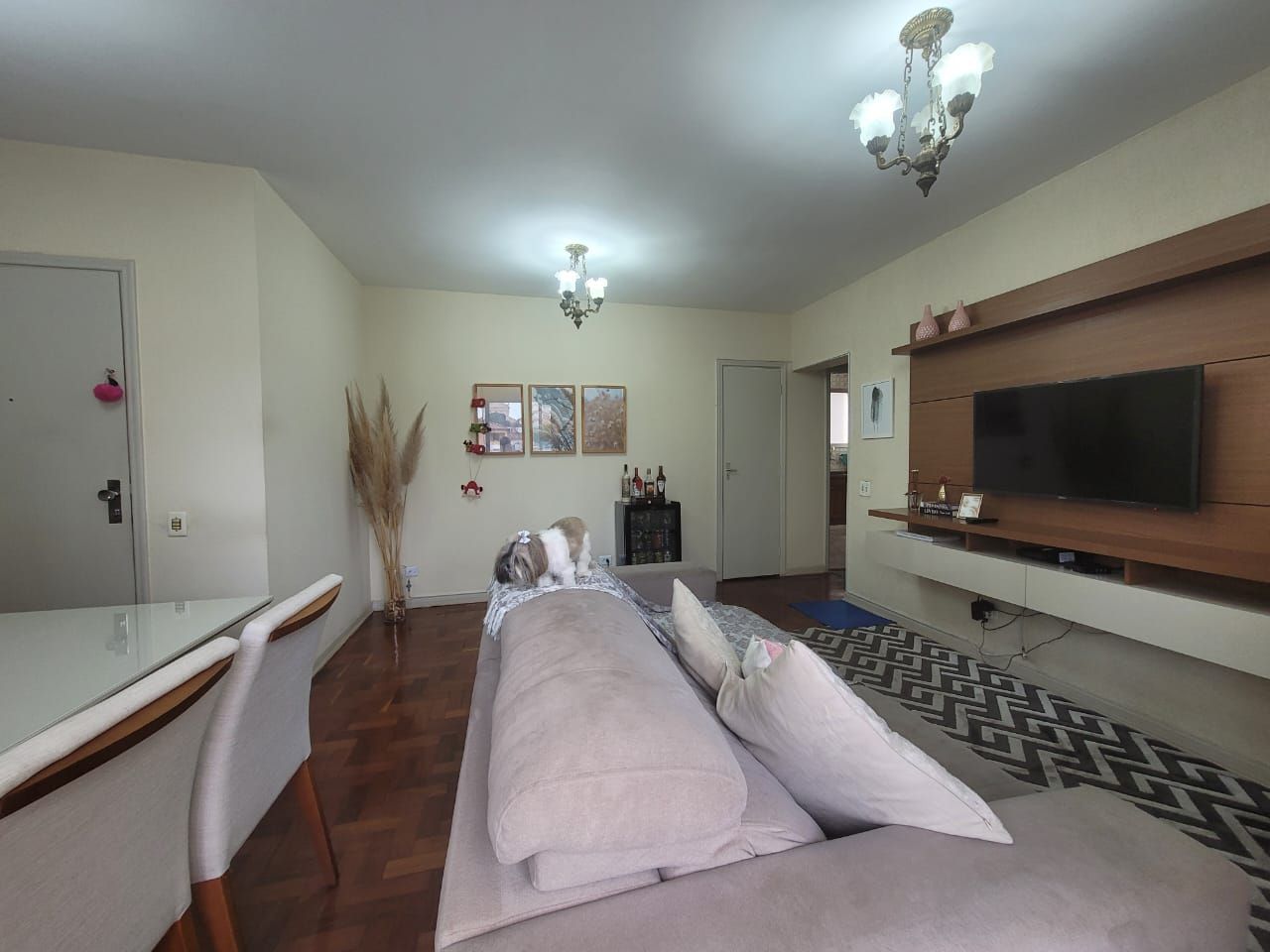 Apartamentos à venda Jardim Elite