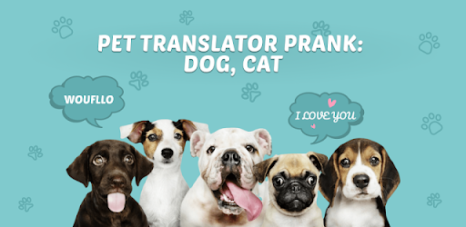 Pet Translator Prank: Dog, Cat