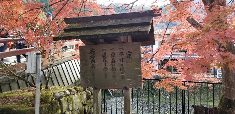 ゴルフGTIの紅葉コラボ・室生寺・カブの駅に関するカスタム事例の投稿画像12枚目