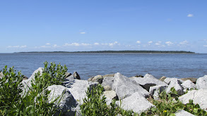 A Family Moves From Busy Alpharetta, Ga., to Relaxing St. Simons Island thumbnail