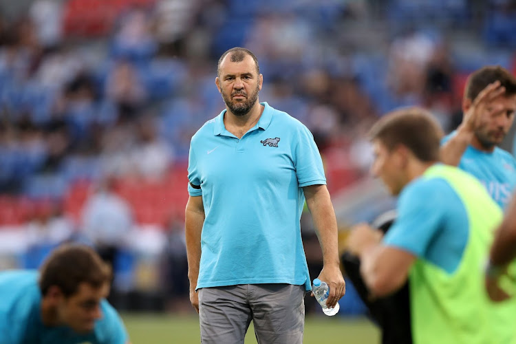 NEW ROLE: Michael Cheika looks on prior to the 2020 Tri-Nations match between the Argentina Pumas and the New Zealand All Blacks at McDonald Jones Stadium on November 28 2020 in Newcastle, Australia.