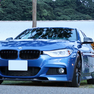 320i M Sport (F30)