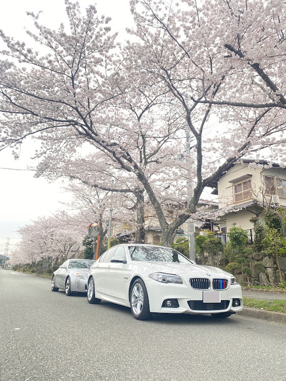 フェアレディZの#フェアレディＺ33・523iMスポーツ・桜とコラボ・愛車しか勝たん！・車が好きな人と繋がりたいに関するカスタム事例の投稿画像3枚目