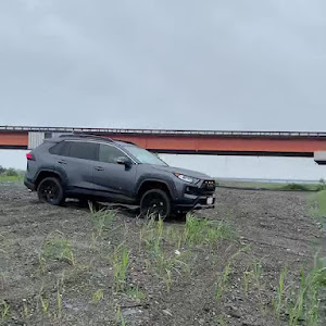 RAV4 AXAP54