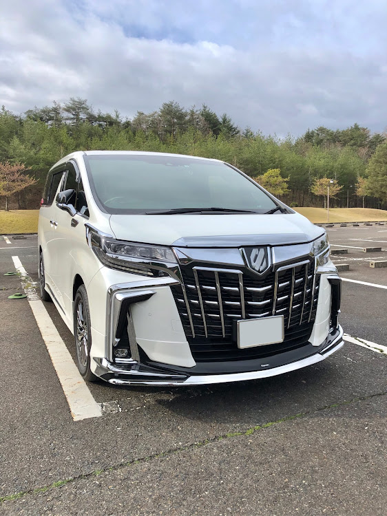 アルファードのゴルフコンペ⛳️に関するカスタム事例の投稿画像1枚目