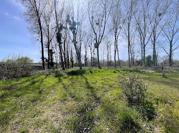 terrain à batir à Grignols (33)