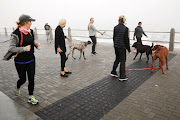 Human and canine friends meet up on Sea Point promenade in Cape Town during the level four lockdown morning exercise session on May 2 2020.