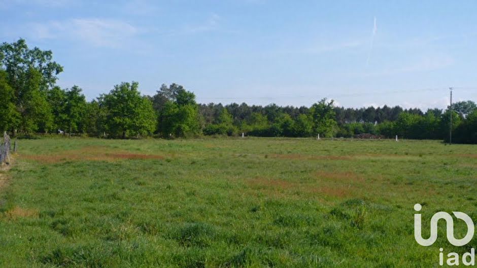 Vente terrain  1000 m² à Augers-en-Brie (77560), 60 000 €