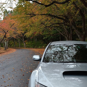 インプレッサ WRX STI GVB