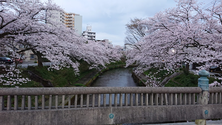 の投稿画像2枚目